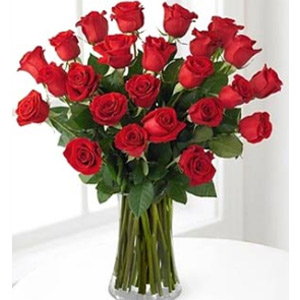 Two Dozen Red Roses