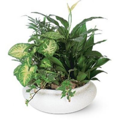 Basking Ridge Florist | Spring Garden
