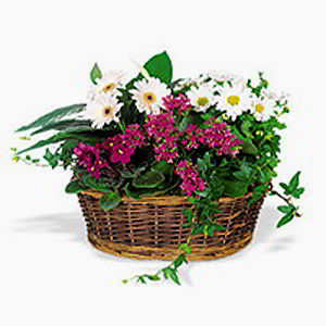 Randolph Florist | Spring Garden