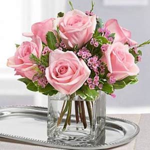 RandolphFlorist | 6 Pink Roses
