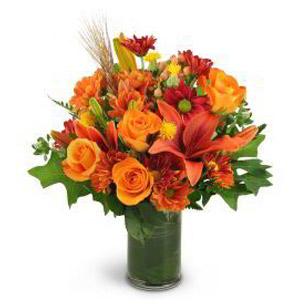 Randolph Florist | Autumn Beauty