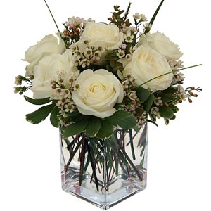 Basking Ridge Florist | 6 White Roses