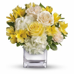 Randolph Florist | Bright Collection