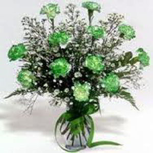 RandolphFlorist | Dz Green Carnations