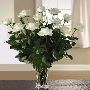 Randolph Florist | 12 White Roses 