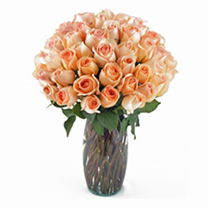 Randolph Florist | 36 Peach Roses